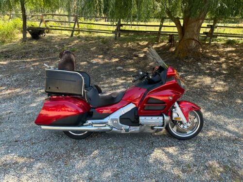 Click to view full screen Honda Gold Wing GL1800 Replacement Windshield 2001-2017 photo review