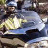 Honda Valkyrie Interstate Shields