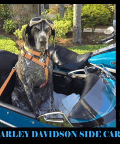 Harley Davidson | Sidecar RLE with 7 Hole Mount | Replacement Windshield