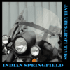 Indian Springfield Replacement Windshield