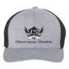 clearview-shields-black-hat