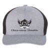 clearview-shields-black-hat