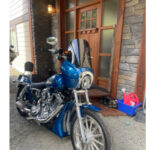 Harley-Davidson FXDXT T-Sport Windshield