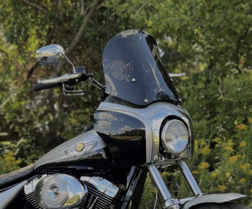 deadbeat customs 1 e1763492023107
